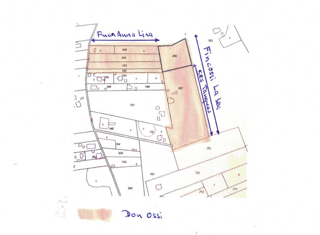 donossi 01?timestamp=1665402114090